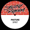 Spirit Da Housecat Mix