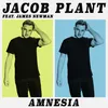About Amnesia (feat. James Newman) Song