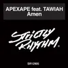 Amen (feat. Tawiah) [Dub Mix]
