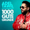 About 1000 gute Gründe Radio Edit Song