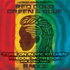 Come on In My Kitchen (Rob Jevons Remix) Radio Edit