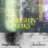 About Forget Tomorrow filous Remix Song
