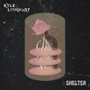 Shelter