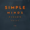 About Vision Thing Song