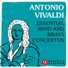 Flute Concerto No. 3 in D Major, RV 428 "Il Gardellino": III. Allegro