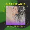 MATRICARIA