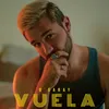 About Vuela Song