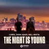 About The Night Is Young (feat. Will Matta) Song