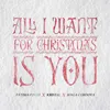 About All I Want For Christmas Is You Song