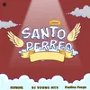 About Santo Perreo Song
