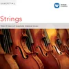 Serenade for Strings in E-Flat Major, Op. 6: I. Andante con moto - Più mosso