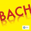 Bach: Mass in B Minor, BWV 232: V. Agnus Dei, (a) Aria "Agnus Dei" (Alto)