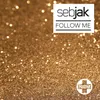 About Follow Me Vocal Mix Radio Edit Song