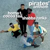 Pirates' Anthem (Skull & Crossbones 12" Mix)