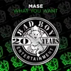 What You Want Remix; Instrumental