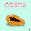 About Cosita Song