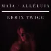 About Alléluia Remix TWIGG Song