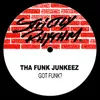 Got Funk? Funkee Junkee Dub