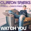 About Watch You (feat. Pitbull & Disco Fries) Radio Edit Song