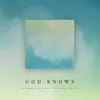 About God Knows Song