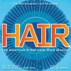 About Curtain Call: Hair Reprise Song