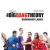 The Big Bang Theory Dueling Guitar Version