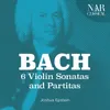 About Violin Partita No. 2 in D Minor, BWV 1004: I. Allemande Song