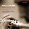 Tamberg : Musica triste for Flute, Vibraphone and Strings Op.85