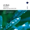 Ach wie flüchtig, ach wie nichtig, BWV 26: No. 4, Aria. "An irdische Schätze das Herze zu hängen"