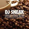 Special House Blend Continuous DJ Mix
