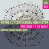 Tan Dun: The Wolf: II. Andante molto Live