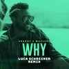About Why (Luca Schreiner Remix) Song