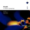 Violin Concerto in D Major, RV 208 "Il grosso Mogul": I. Allegro