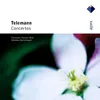 Telemann : Concerto for Recorder & Bassoon in F major TWV52, F1 : III Grave