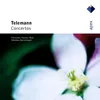 Telemann : Concerto for Recorder & Bassoon in F major TWV52, F1 : IV Allegro