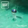 Higher Ground (feat. Charli Taft) KANT Remix