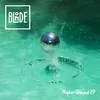 Higher Ground (feat. Charli Taft) Tobtok Remix