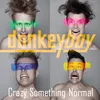 About Crazy Something Normal Song