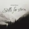 About Stille før storm Song