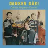 Dansen går - polka