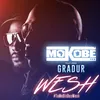 About Wesh (#TuMeDisDesWesh) (feat. Gradur) Song