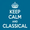 Symphony No. 2 in D Major, Op. 73: II. Adagio non troppo