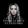 About Entre le boeuf et l'âne gris - Heinillä härkien Song