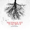 December Sky (feat. Julian Lennon) feat. Julian Lennon