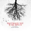 December Sky feat. Julian Lennon