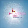 Bach, JS : Cantata No.133 Ich freue mich in dir BWV133 : I Chorus - "Ich freue mich in dir" [Choir]