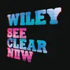 See Clear Now (feat. Kano & Scorcher)