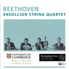 About Beethoven: String Quartet No. 8 in E Minor, Op. 59 No. 2 "Razumovsky": I. Allegro Song