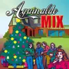 Aguinaldo Tropical Mix - Radio Version - Saludos Saludos / De Las Montañas / El Na / Abreme La Puerta / Si Me Dan Pasteles / Parranda Del Sopon, Candela