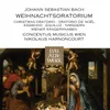 Bach, J.S.: Weihnachtsoratorium, BWV 248, Part 2: "Und es waren Hirten in derselben Gegend" (Evangelist)